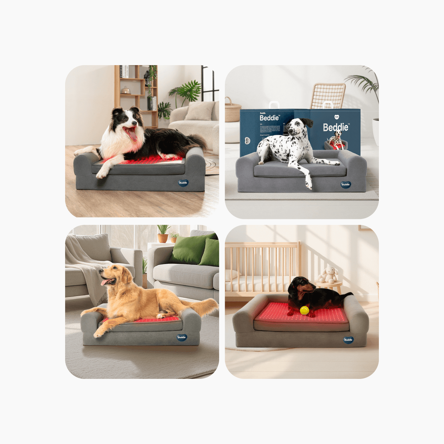 Beddie™ Pet Therapy Bed