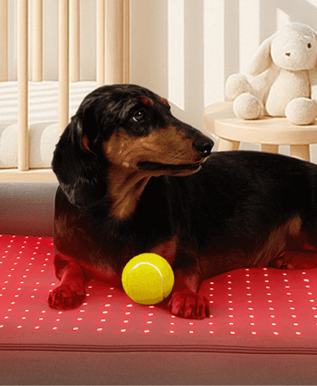 Safe, Drug-Free Care