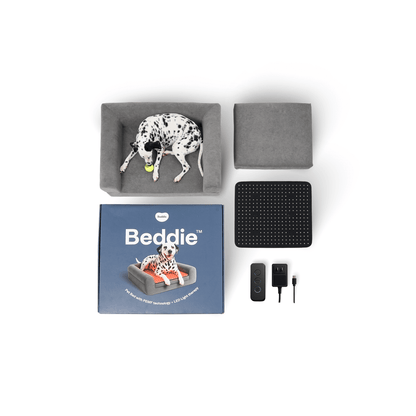 Beddie™ Pet Therapy Bed