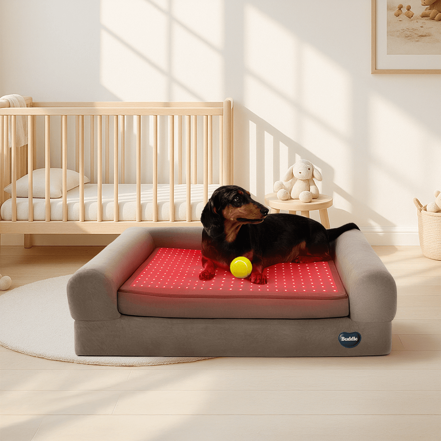 Beddie™ Pet Therapy Bed