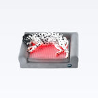 Beddie™ Pet Therapy Bed