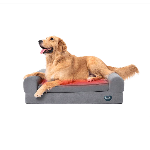 Beddie™ Pet Therapy Bed