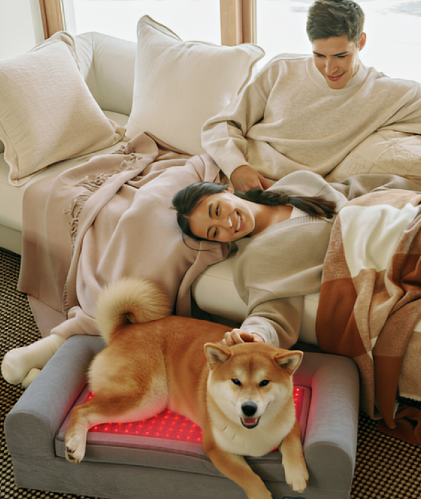 A happy couple relaxes on a sofa next to their Shiba Inu dog, who is comfortably lying on a gray Budddie™ pet therapy bed with visible red light (LED) technology, emphasizing preventive health and veterinary-grade wellness from buddie pet therapy