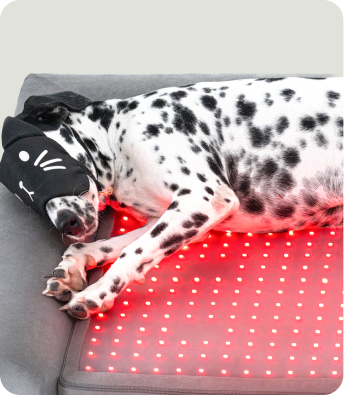 Kala Red Combining orthopedic foam with therapeutic light, Beddie™ turns rest into proactive care for lifelong health.