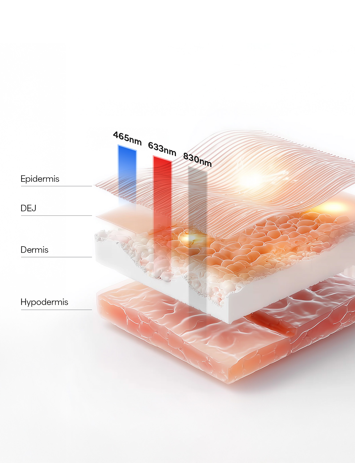 Kala Cross Sectional diagram of skin layers with wavelength labels