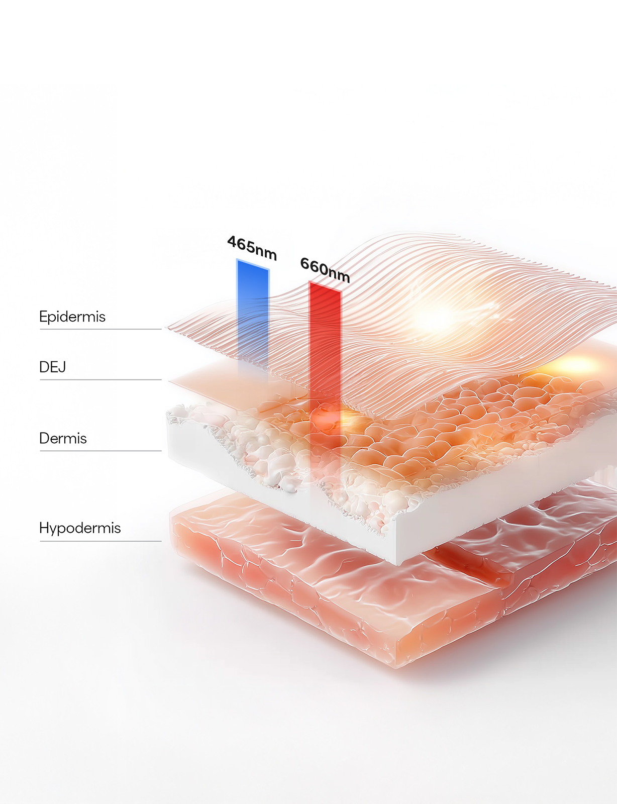 Kala Cross Sectional diagram of skin layers with wavelength labels