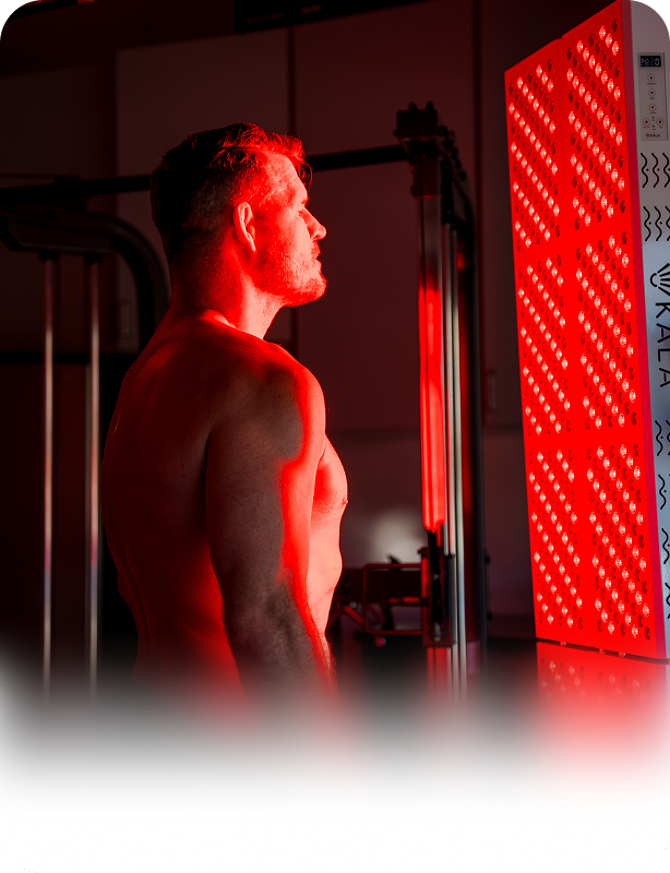 Michael Bisping - Ultimate Fighting Champion