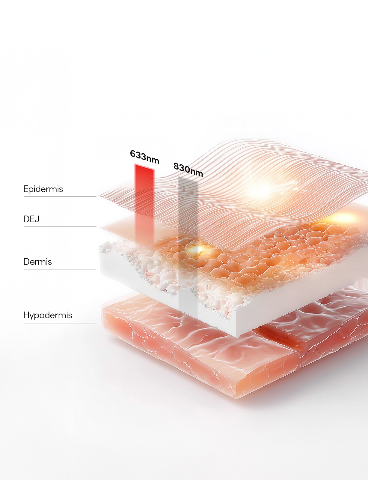 Diagram of skin layers with wavelengths labeled on a kala red light