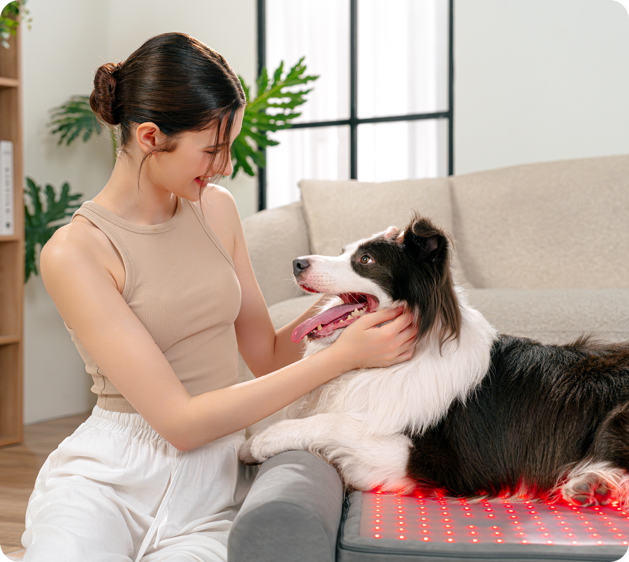 The Beddie™ Therapy Bed is the first-of-its-kind therapeutic dog bed, designed with medical-grade Red Light Therapy