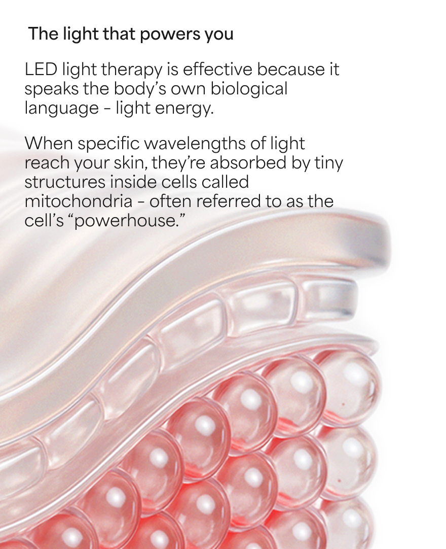 Diagram of a mitochondrion with text about LED light therapy and its effects on cells.