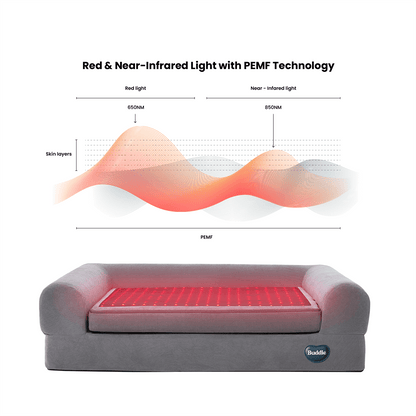 Beddie™ Pet Therapy Bed