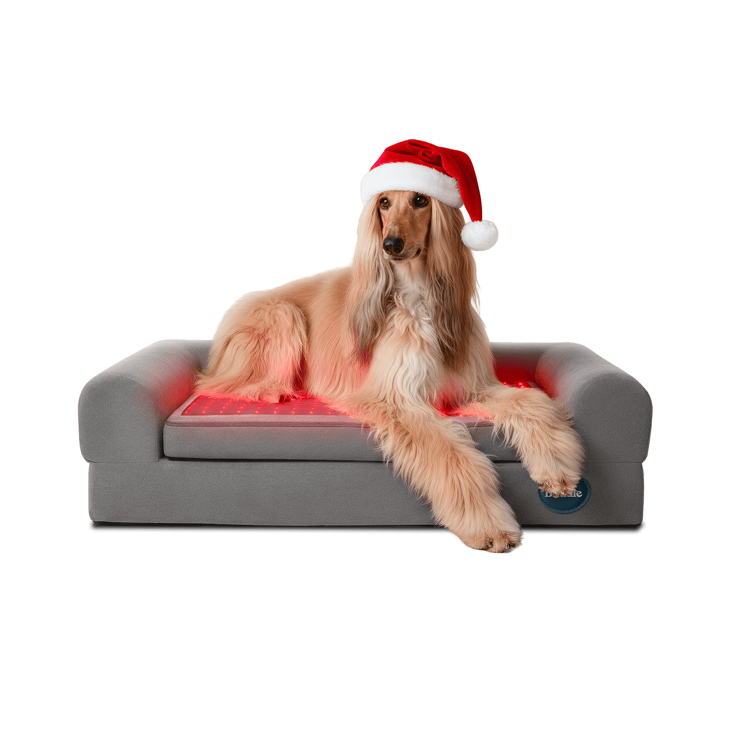 buddie pet therapy Christmas dog bed with a dog wearing a Santa hat