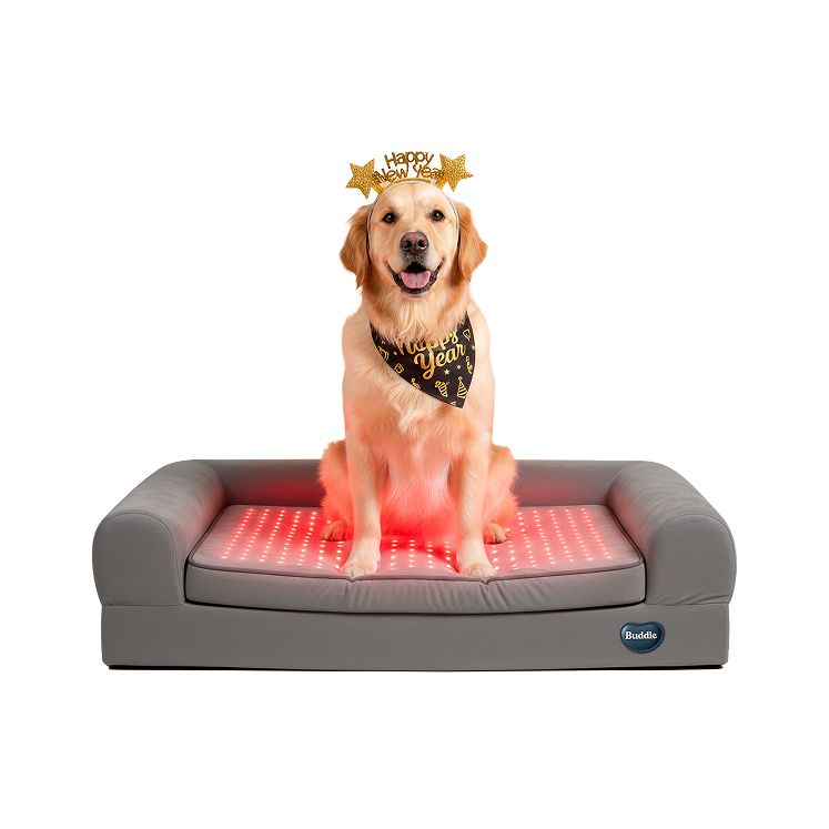 Buddie™ Pet Therapy dog bed with red light and PEMF wellness therapy supporting canine mobility and comfort