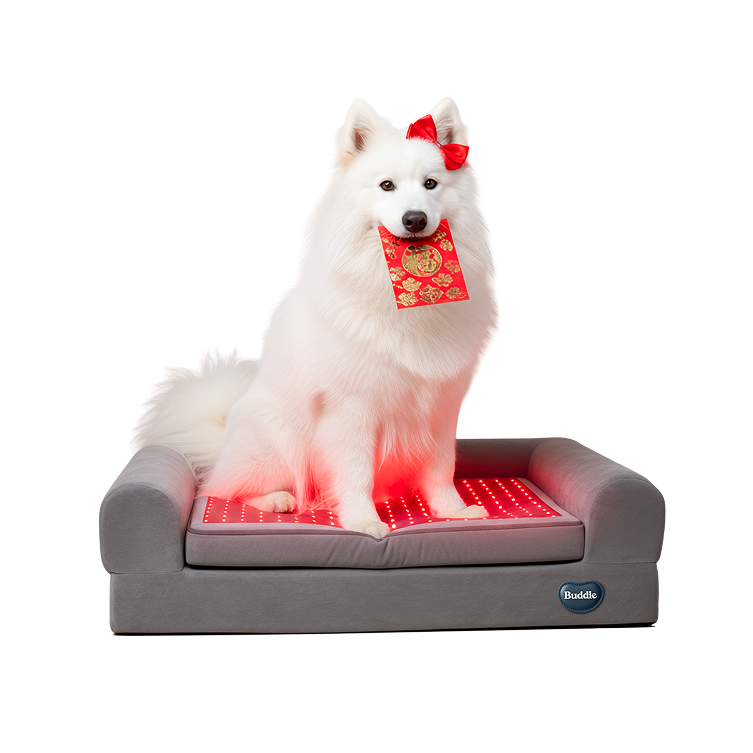 Buddie™ Pet Therapy dog bed with red light and PEMF therapy featuring a white dog in festive Lunar New Year theme