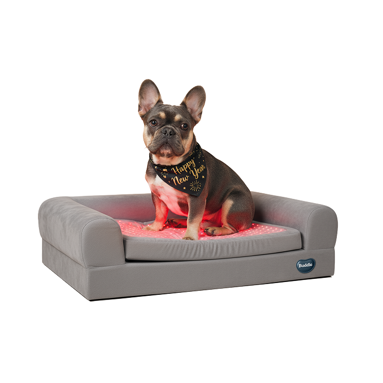 Buddie™ Pet Therapy dog bed with red light and PEMF therapy supporting joint relief and overall canine wellness