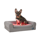 Buddie™ Pet Therapy dog bed with red light and PEMF therapy supporting joint relief and overall canine wellness