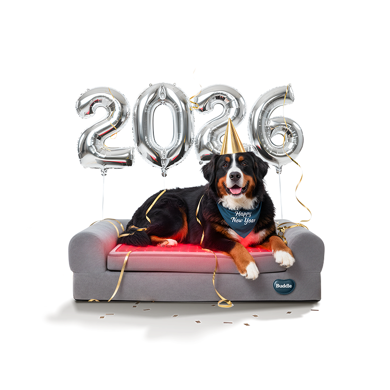 Beddie™ Pet Therapy Bed