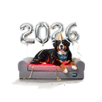 Dog relaxing on Buddie™ Therapy Bed with red light and PEMF therapy, celebrating New Year 2026, helping relieve winter joint stiffness, dog arthritis, and cold weather mobility issues