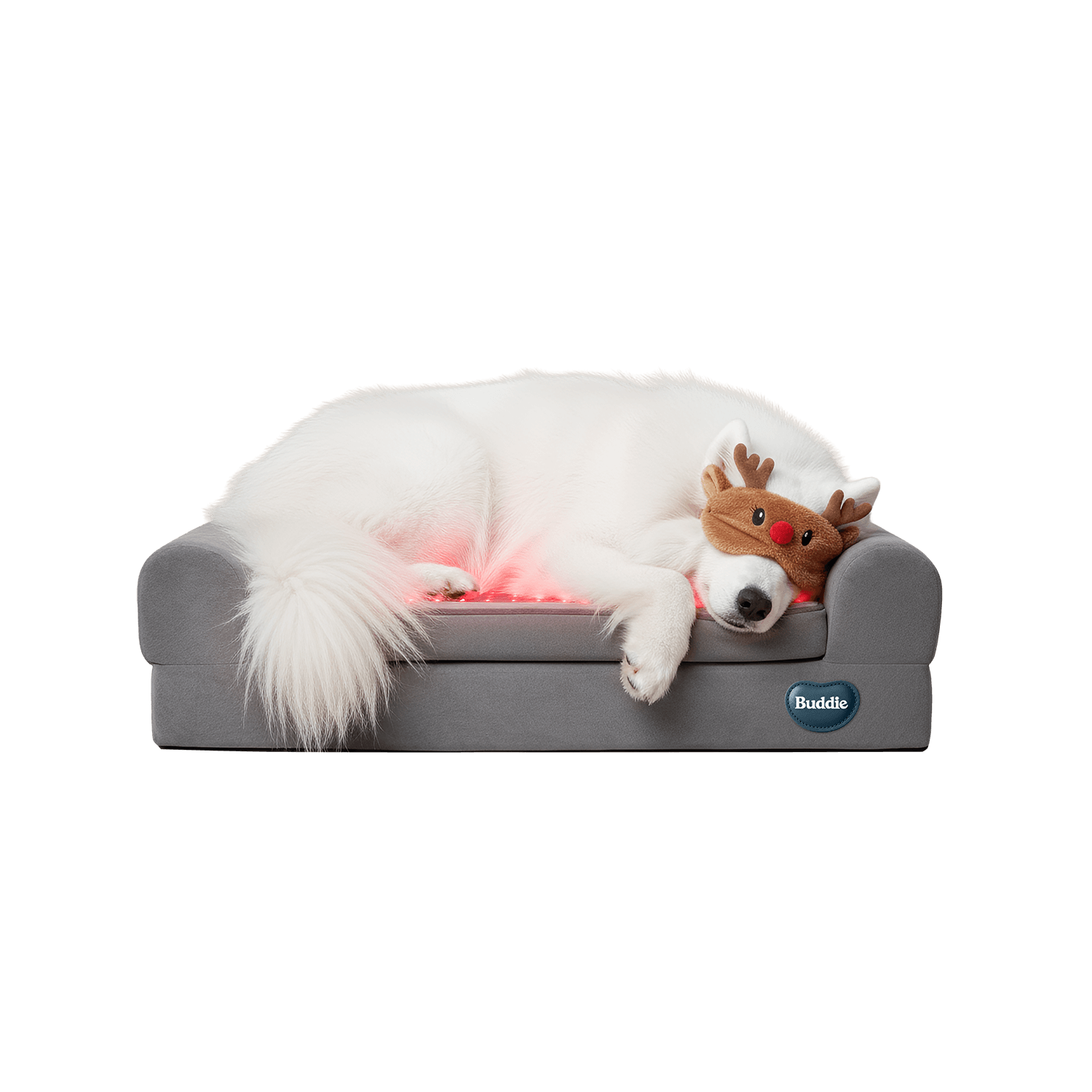 Samoyed dog wearing reindeer eye mask sleeping peacefully on a grey Buddie Pet Therapy orthopedic bed with glowing red therapeutic light for everyday rest and proactive care.