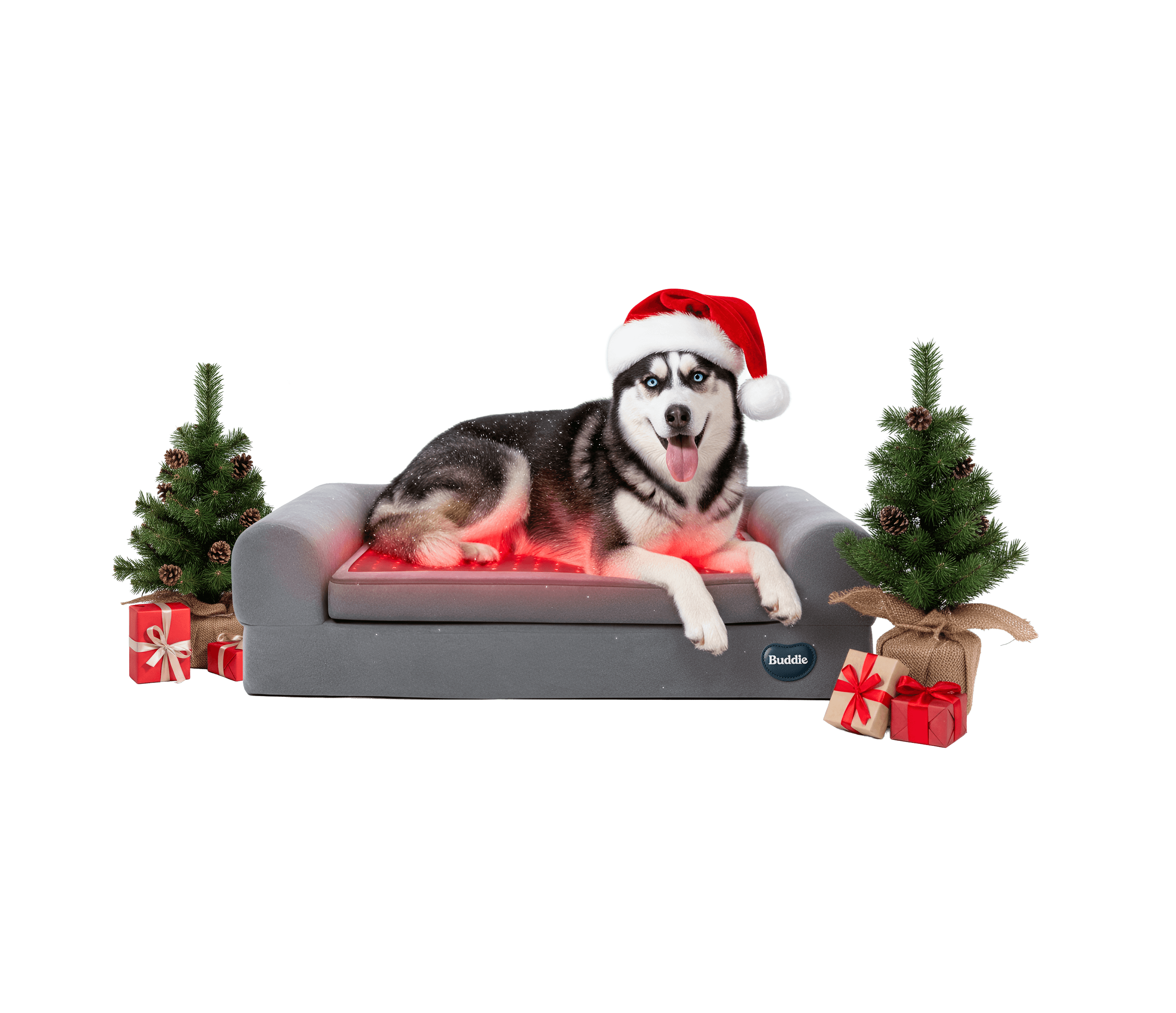 Beddie™ Pet Therapy Bed