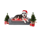 buddie pet therapy Christmas dog bed with a Husky wearing a Santa hat, advertising pet wellness and red light therapy. woof woof!