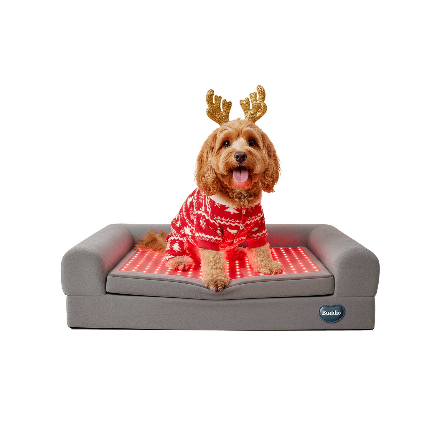 Buddi pet therapy red light therapy bed for dogs, safe drug-free care, recovery and resilience