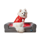 Buddie™ Pet Therapy red light and PEMF dog bed promoting joint relief, relaxation, and overall canine wellness