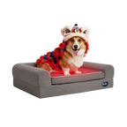 Buddie™ Pet Therapy red light and PEMF dog bed supporting joint relief and relaxation with a dog in festive Lunar New Year costume