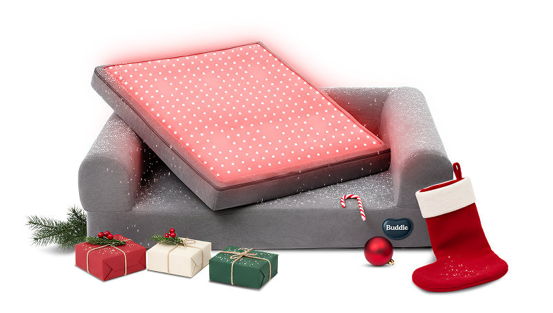 Beddie™ Pet Therapy Bed