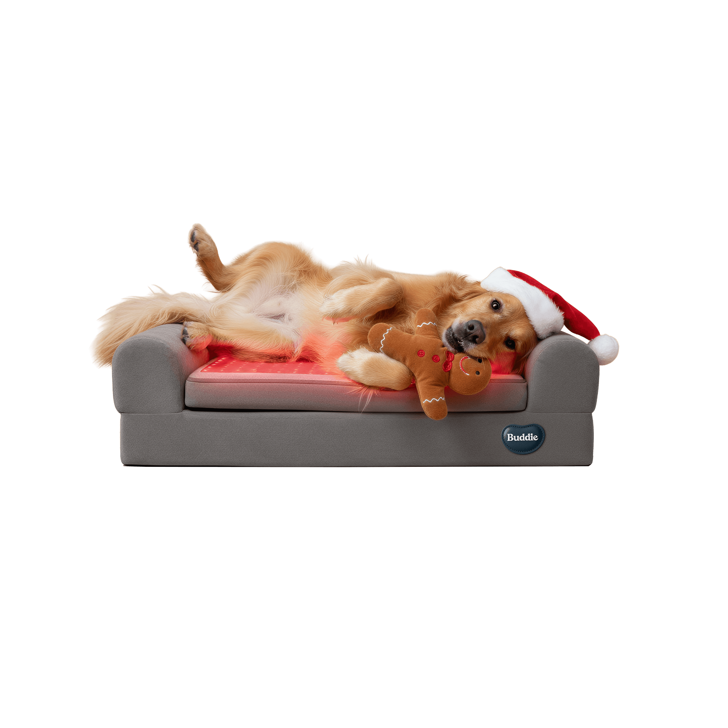 Beddie™ Pet Therapy Bed