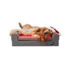 Golden Retriever dog in Santa hat relaxing on a Buddie pet therapy bed with red light visible, illustrating how the Buddie pet therapy bed uses red light and PEMF for relief from arthritis, hip dysplasia, and stiffness, promoting recovery